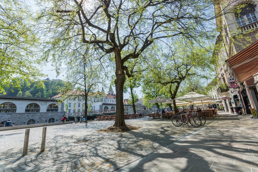 Old Town Apartments Lublaň Pokoj fotografie